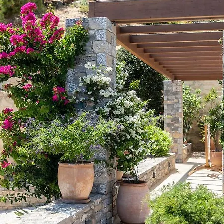 Octo * Παλαιόκαστρο